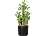 Hornbach Kunstpflanze Euphorbie Höhe: 40 cm grün