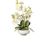 Hornbach Kunstpflanze Orchidee Höhe: 50 cm grün