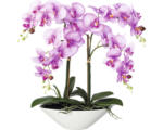 Hornbach Kunstpflanze Phalenopsis Höhe: 53 cm lila