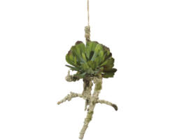 Kunstpflanze auf Ast Höhe: 23 cm grün