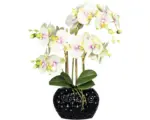 Hornbach Kunstpflanze Phalaenopsis Höhe: 55 cm grün