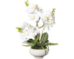 Hornbach Kunstpflanze Orchidee Höhe: 50 cm weiß