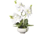 Hornbach Kunstpflanze Orchidee Höhe: 50 cm weiß