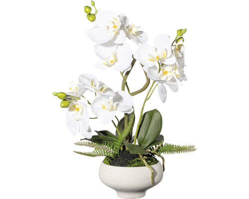 Kunstpflanze Orchidee Höhe: 50 cm weiß