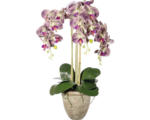 Hornbach Kunstpflanze Orchidee Höhe: 75 cm grün