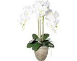 Hornbach Kunstpflanze Orchidee Höhe: 75 cm weiß