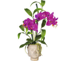Kunstpflanze Orchideen Bambus Höhe: 60 cm lila