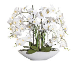 Kunstpflanze Phalaenopsis Höhe: 70 cm weiß