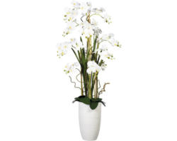 Kunstpflanze Phalaenopsiarrangem Höhe: 160 cm weiß