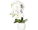 Hornbach Kunstpflanze Orchidee Höhe: 60 cm weiß