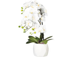 Kunstpflanze Orchidee Höhe: 60 cm weiß