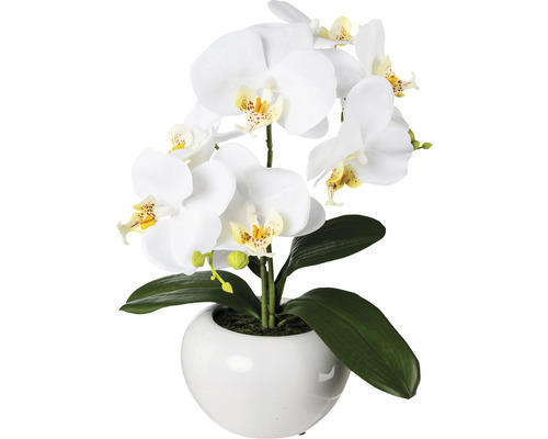 Kunstpflanze Phalaenopsis Höhe: 35 cm weiß