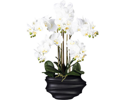 Kunstpflanze Phalenopsis Höhe: 75 cm weiß