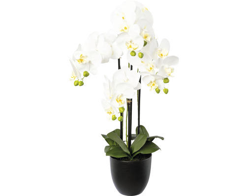 Kunstpflanze Phalaenopsis Höhe: 69 cm weiß