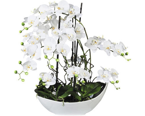 Kunstpflanze Phalaenopsis Höhe: 68 cm weiß