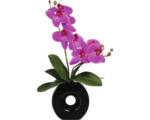 Hornbach Kunstpflanze Phalaenopsis Höhe: 35 cm lila