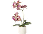 Hornbach Kunstpflanze Orchidee Höhe: 45 cm grün