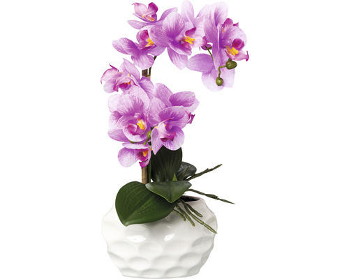 Kunstpflanze Phalaenopsis Höhe: 33 cm lila