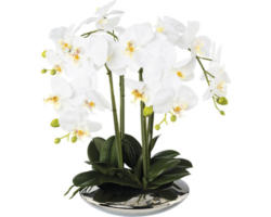 Kunstpflanze Phalaenopsis Höhe: 41 cm weiß