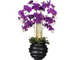 Kunstpflanze Phalaenopsis Höhe: 95 cm lila