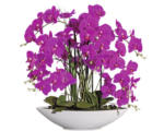 Hornbach Kunstpflanze Phalaenopsis Höhe: 70 cm lila