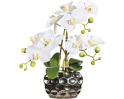 Kunstpflanze Phalaenopsis Höhe: 30 cm weiß