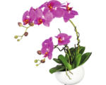 Hornbach Kunstpflanze Phalaenopsis Höhe: 42 cm lila