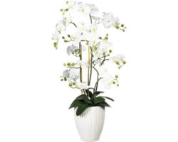 Kunstpflanze Orchidee Höhe: 110 cm weiß