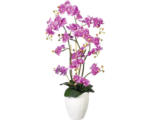 Hornbach Kunstpflanze Orchidee Höhe: 110 cm lila