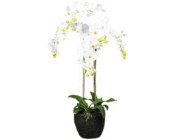 Kunstpflanze Phalaenopsis Höhe: 100 cm weiß