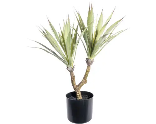 Kunstpflanze Agave Höhe: 48 cm grün