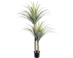 Kunstpflanze Dracaena Draco Höhe: 130 cm grün