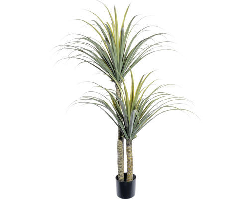 Kunstpflanze Dracaena Draco Höhe: 130 cm grün