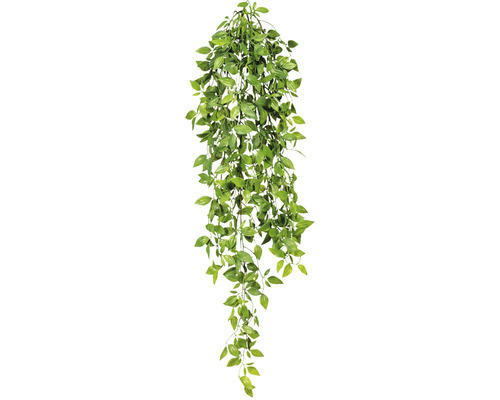 Kunstpflanze Epipremnumhänger Höhe: 80 cm grün