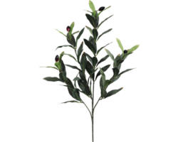 Kunstpflanze Olivenzweig Höhe: 50 cm grün