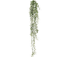 Kunstpflanze Mühlenbeckianhänger Höhe: 80 cm grün