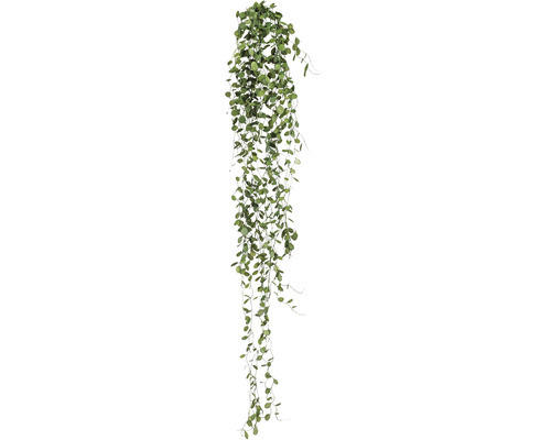 Kunstpflanze Mühlenbeckianhänger Höhe: 80 cm grün