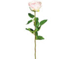 Hornbach Kunstpflanze Gartenrose Höhe: 69 cm rosa