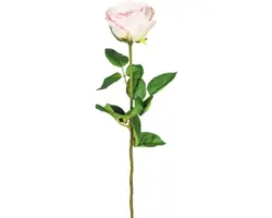 Kunstpflanze Gartenrose Höhe: 69 cm rosa