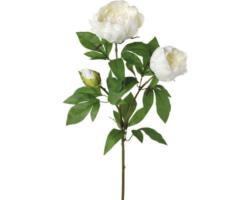 Kunstpflanze Peonienzweig Höhe: 70 cm weiß