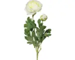 Hornbach Kunstpflanze Ranunkel Höhe: 40 cm creme