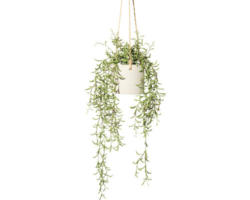 Kunstpflanze Nerifoliahänger Höhe: 50 cm grün