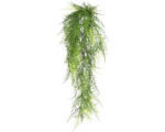 Hornbach Kunstpflanze Asparagus Plumosus Höhe: 80 cm grün