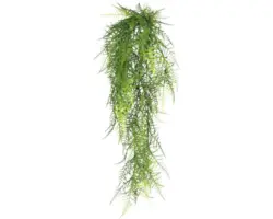 Kunstpflanze Asparagus Plumosus Höhe: 80 cm grün
