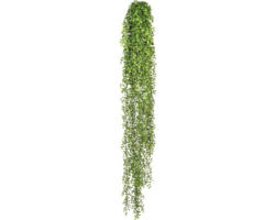 Kunstpflanze Rosushänger Höhe: 160 cm grün