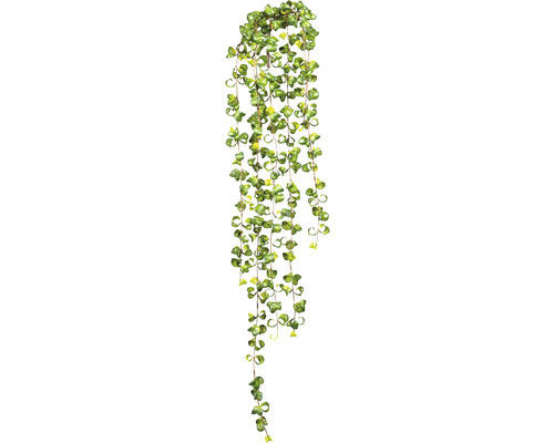 Kunstpflanze Ficus Barock Höhe: 100 cm grün