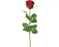 Kunstpflanze Gartenrosen Höhe: 69 cm rot