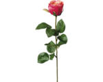 Hornbach Kunstpflanze Gartenrosen Höhe: 69 cm rosa