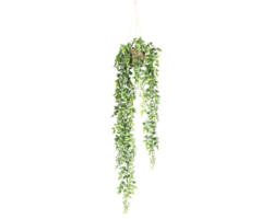 Kunstpflanze Roscushängeampel Höhe: 70 cm grün