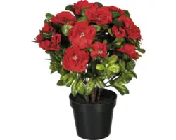 Kunstpflanze Azalee Höhe: 32 cm rot